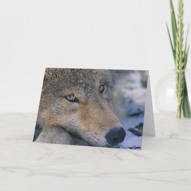 Grey Wolf Lovers Card (Front)