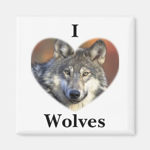 Grey Wolf Magnet