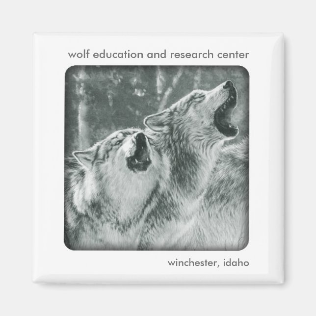 Grey Wolf Magnet (Front)
