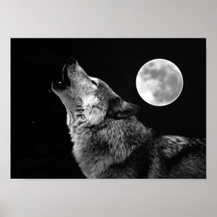 Grey Wolf & Moon Poster Print