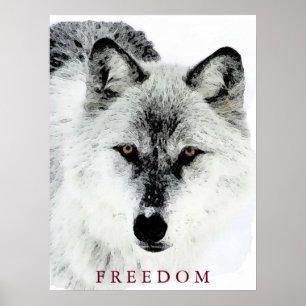 Grey Wolf Motivational Freedom Poster Print