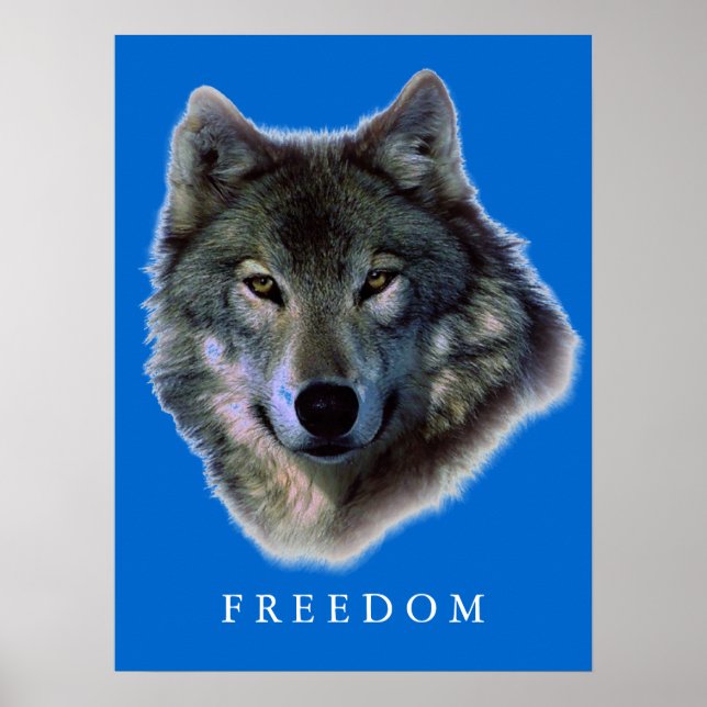 Grey Wolf Motivational Freedom Poster Print (Front)
