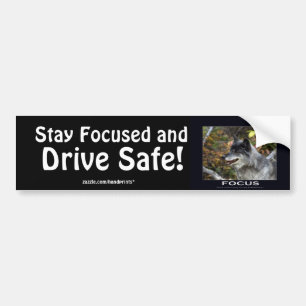 Grey Wolf Motivational Gifts Bumper Sticker