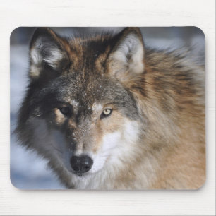 Grey Wolf Mouse Pad