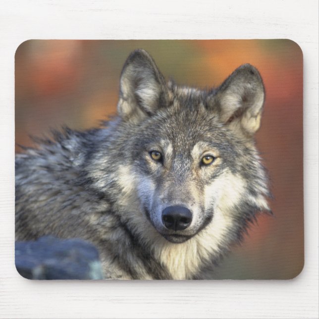 Grey Wolf Mousepad (Front)