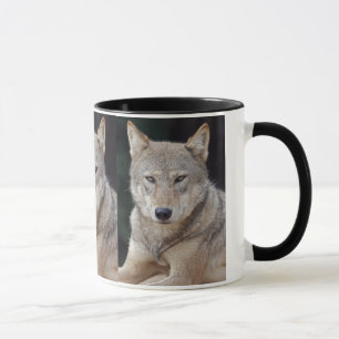 Grey Wolf Mug