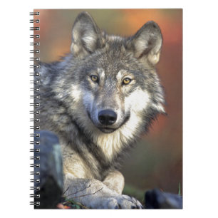 Grey Wolf Notebook