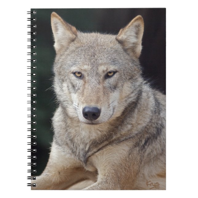 Grey Wolf Notebook (Front)