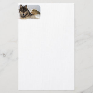 Grey Wolf or Timber Wolf Laying in the Snow Stationery