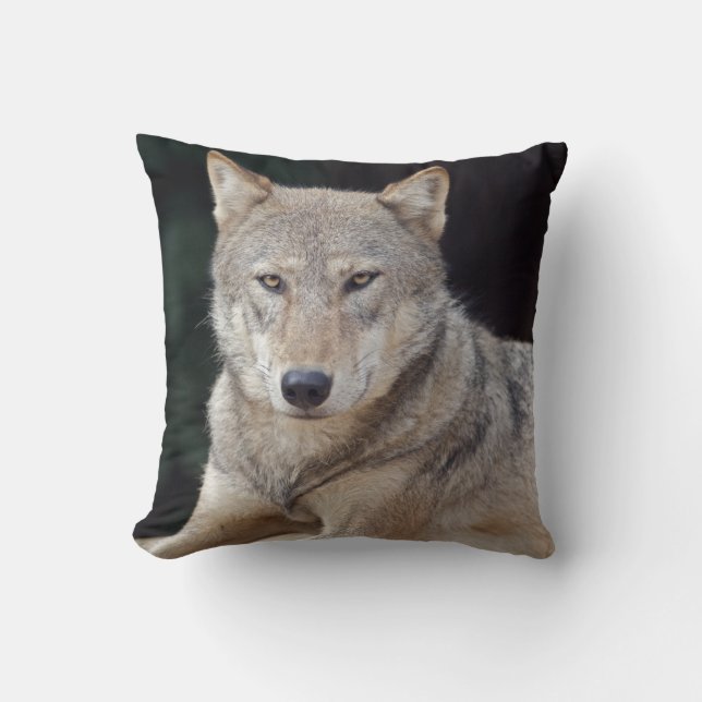 Grey Wolf Pillow (Front)