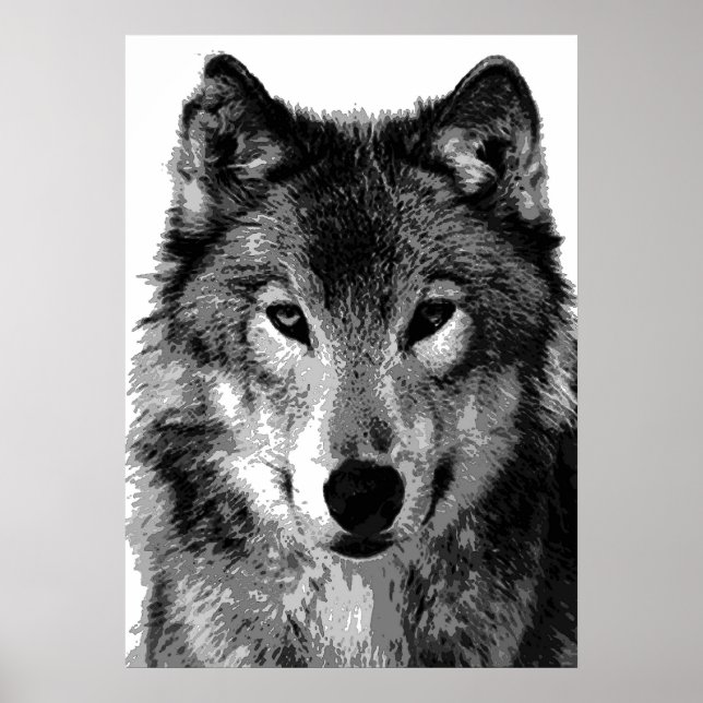 Grey Wolf Poster Print (Front)