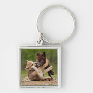 Grey Wolf Pups Wrestling Key Ring