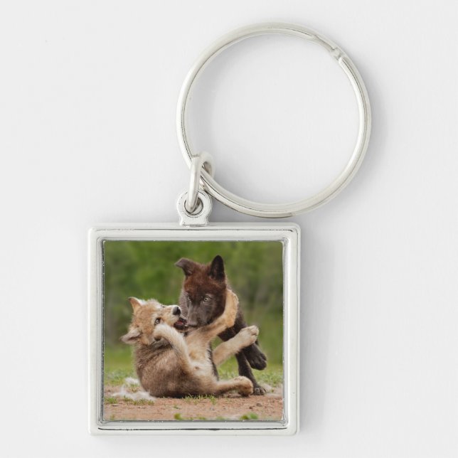 Grey Wolf Pups Wrestling Key Ring (Front)