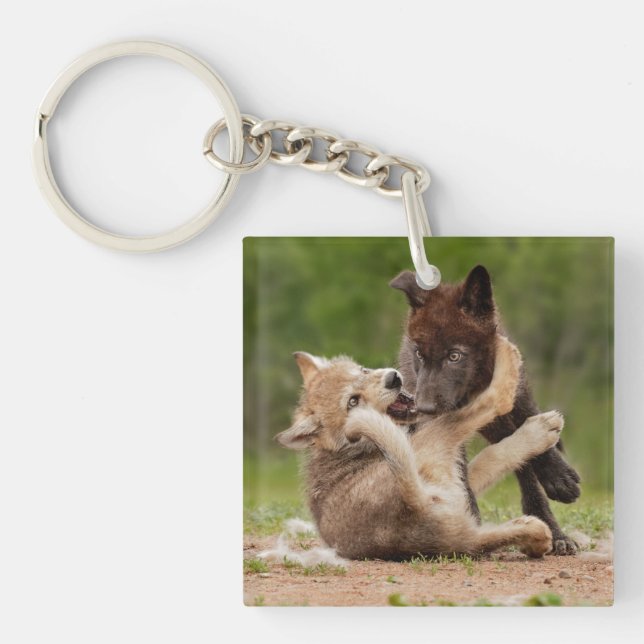 Grey Wolf Pups Wrestling Key Ring (Front)