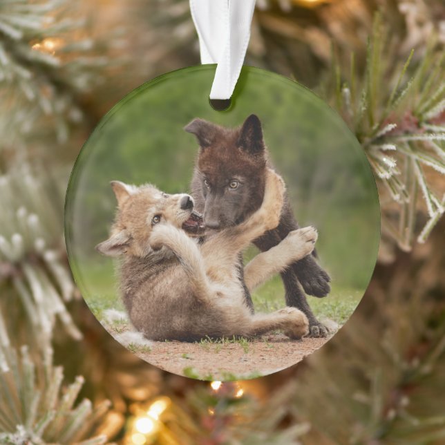 Grey Wolf Pups Wrestling Ornament (Tree)