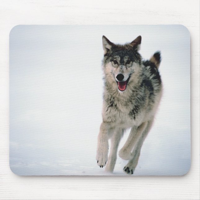 Grey wolf running mouse pad (Front)