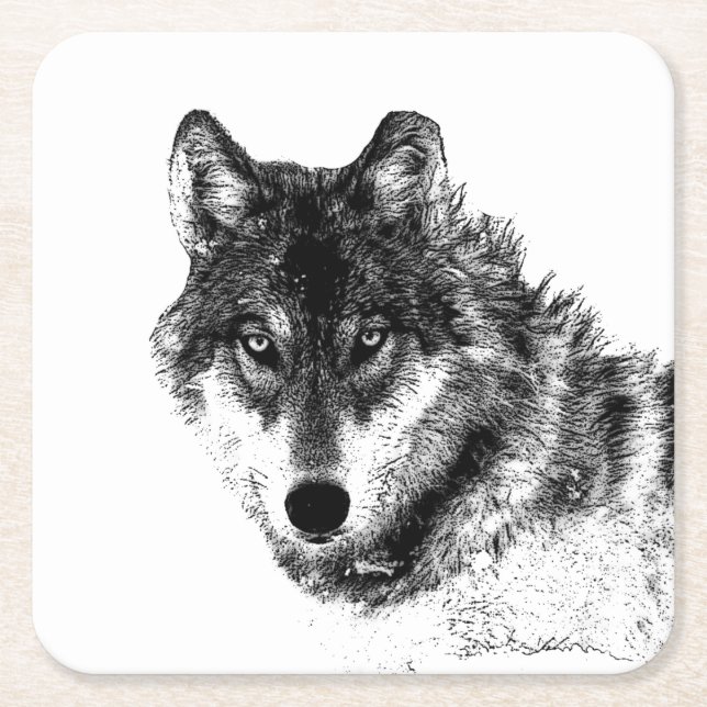 Grey Wolf Sketch Artwork Square Paper Coaster (Front)