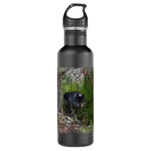 Grey Wolf Stalking in Forest Wildlife Photo 710 Ml Water Bottle