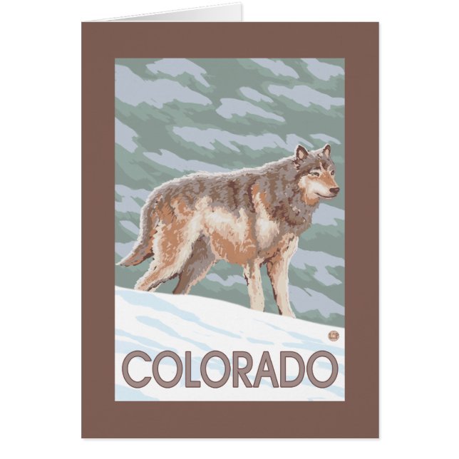 Grey Wolf StandingColorado (Front)
