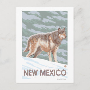 Grey Wolf StandingNew Mexico Postcard