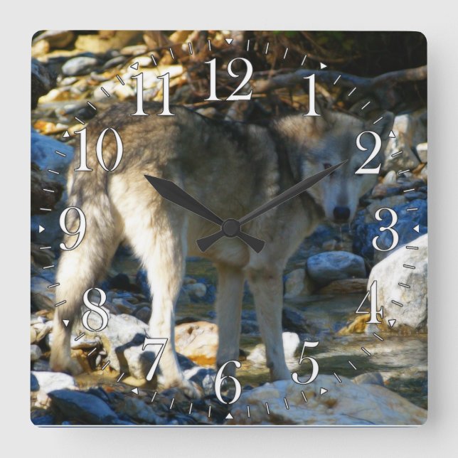 Grey Wolf & Stony Creek Photo Clock (Front)