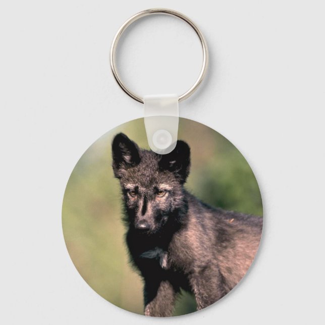 Grey Wolf-summer-(black-phase) cub Key Ring (Front)