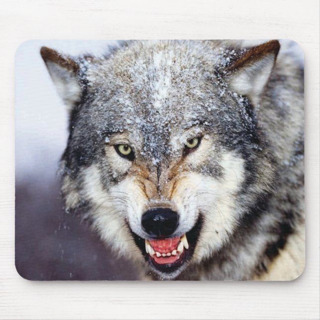 Grey Wolf Teeth Mouse Pad (Front)