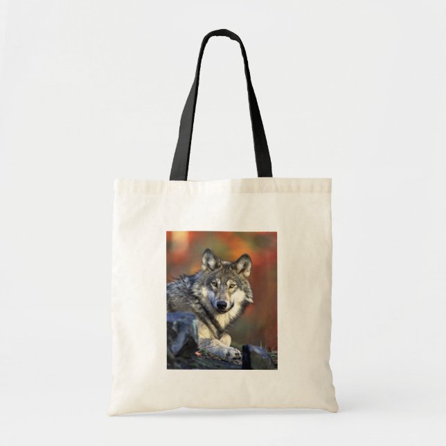 Grey wolf tote bag (Front)