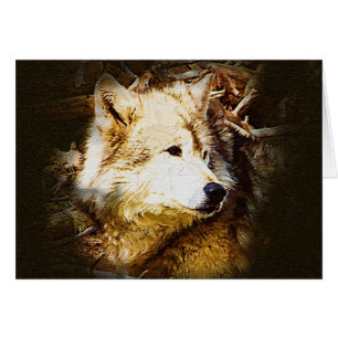 Grey Wolf Watching