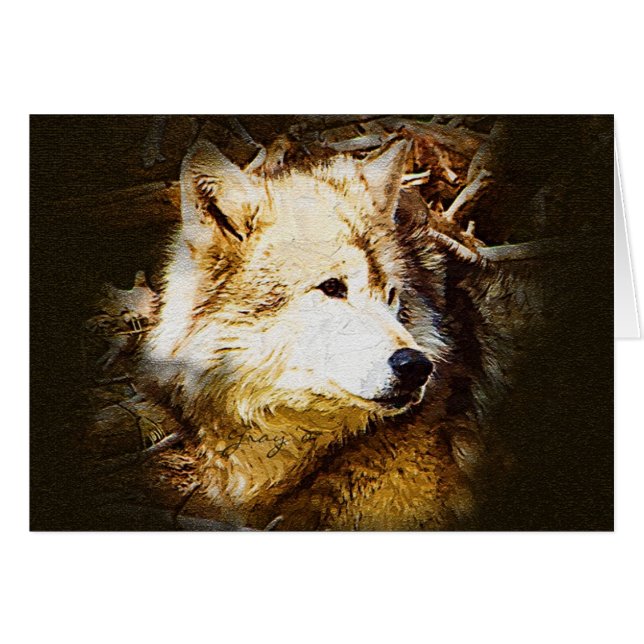 Grey Wolf Watching (Front Horizontal)