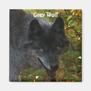 GREY WOLF Wildlife Supporter Photo Magnet