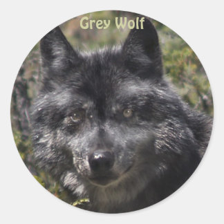 GREY WOLF Wildlife Supporter Stickers
