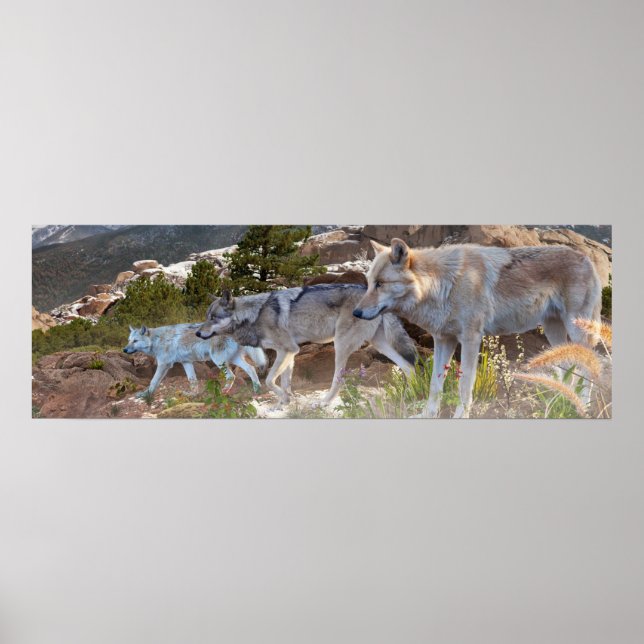 Grey Wolves Family Journey Poster (Front)