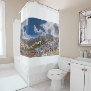 Grey Wolves Family Journey Shower Curtain