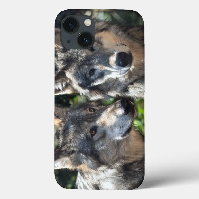 Grey Wolves in the Wild Case-Mate iPhone Case (Back)