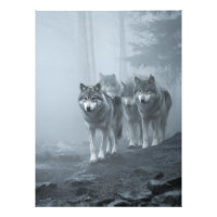 Grey Wolves in Thick Mist