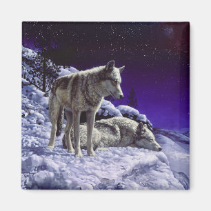 Grey Wolves in Winter Snow at Night Magnet
