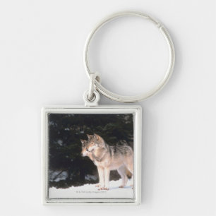 Grey wolves key ring