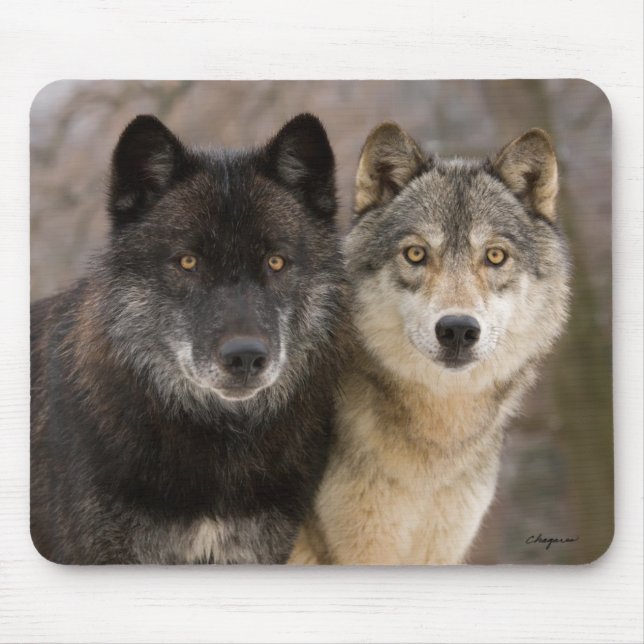 Grey Wolves Mouse Pad (Front)