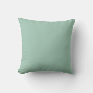greyed jade cushion