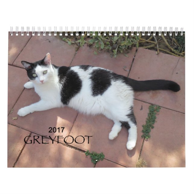 Greyfoot Cat Rescue 2017 Calendar (Cover)