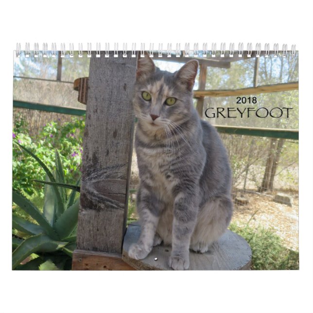 Greyfoot Cat Rescue 2018 Calendar (Cover)