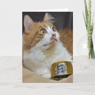 Greyfoot Cat Rescue New Years Greeting Card