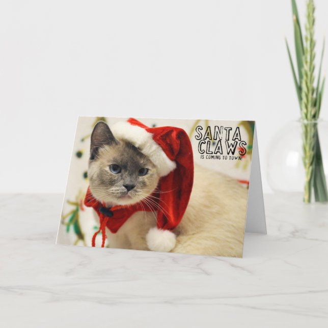 Greyfoot Cat Rescue Siamese Santa Card (Front)
