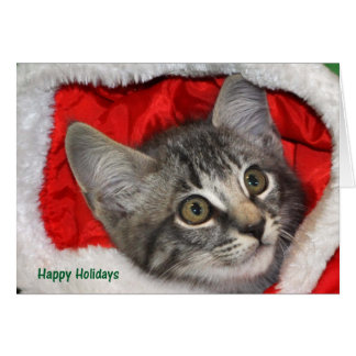 Greyfoot Cat Rescue Silver Grey Tabby Card