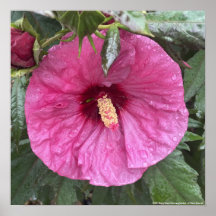 greyforaday Purple Floral Print