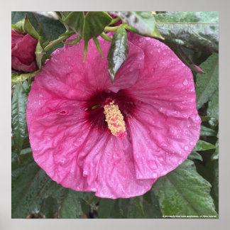 greyforaday Purple Floral Print