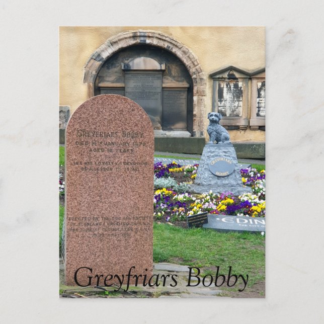 Greyfriars Bobby, Edinburgh Postcard (Front)