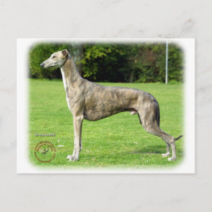 Greyhound 9J007D-14 Postcard