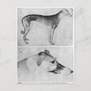 Greyhound and head of a greyhound postcard